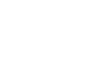 New Fiat